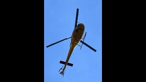 PLM DOLLAR GROUP AIR GANG STALKING TERRORISTS THREE UNSAFE FLY REPORTS