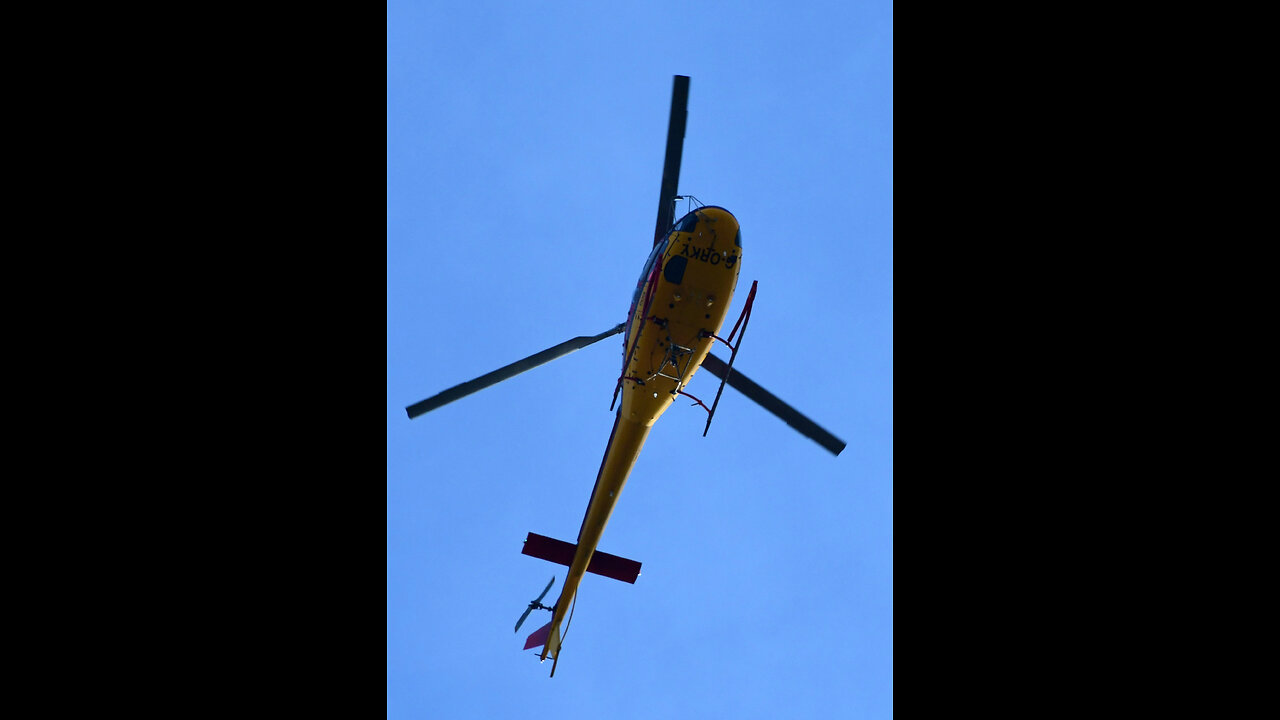 PLM DOLLAR GROUP AIR GANG STALKING TERRORISTS THREE UNSAFE FLY REPORTS