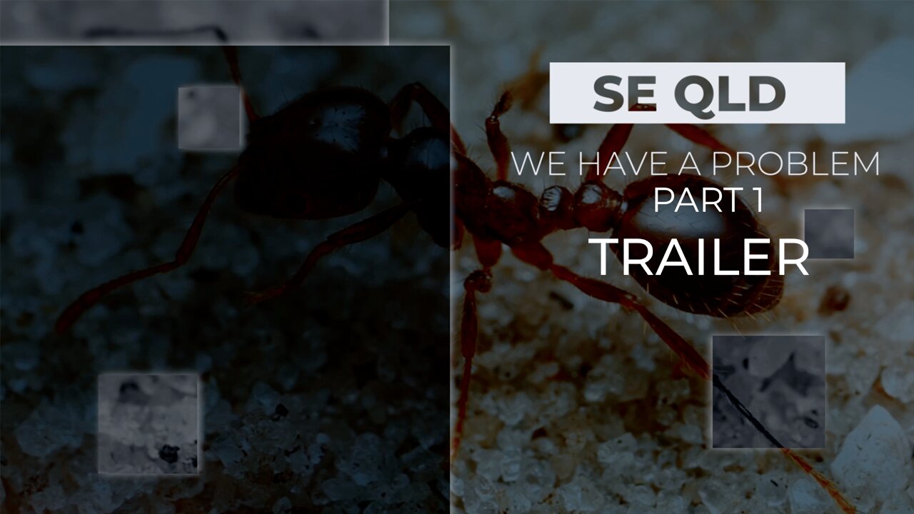 SE QUEENSLAND - WE HAVE A PROBLEM - TRAILER