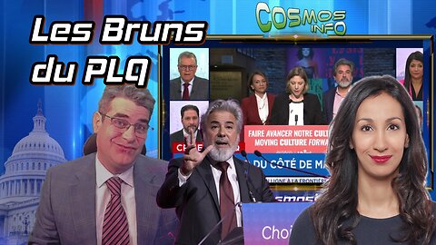 Les Bruns du PLQ, Cosmos Info 19 nov 25