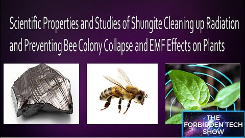 Part 2. Scientific Properties, Studies of radiation cleaning, preventing bee colony collapse