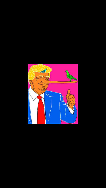 Trumps immigration policies are left of the Democrat Party in 2008