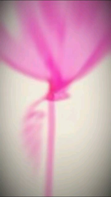 #@if.....❤️❤️