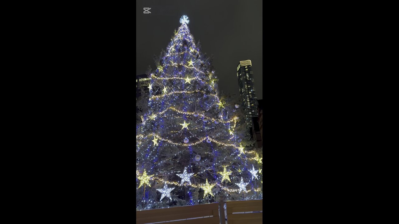 Christmas celebrations 🎅 2025 Happy new Year