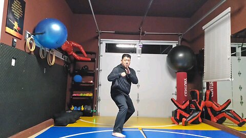 WTD 2 Step Kick Combination 11