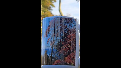 My Mug