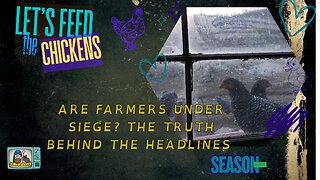 Are Farmers Under Siege? The Truth Behind the Headlines | Let's Feed the Chickens