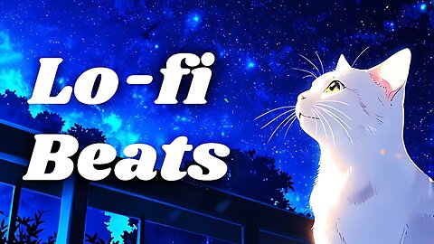 Lo-Fi Hip Hop Radio 🌙