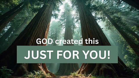 Trees of Splendor (God's done it all)