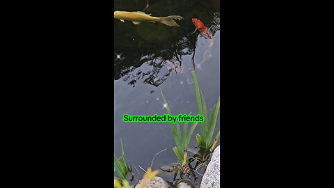 May today bring you happiness 😊😊