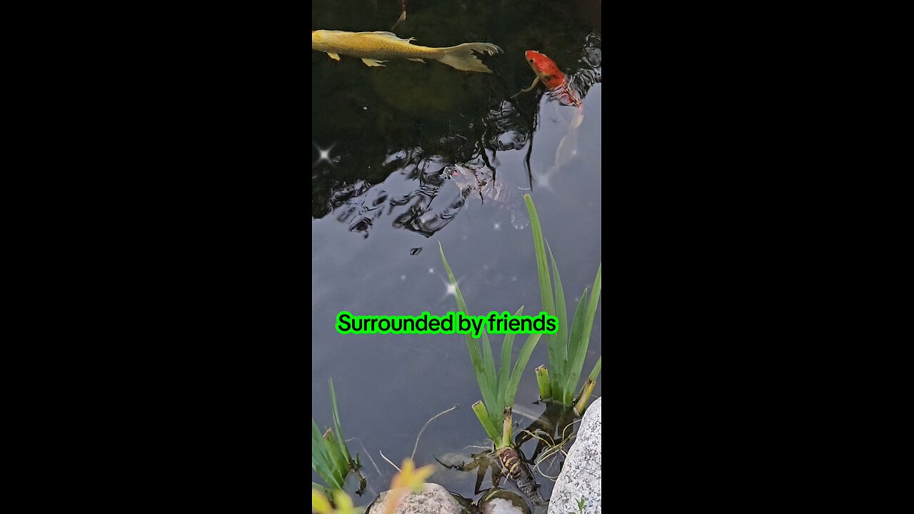 May today bring you happiness 😊😊