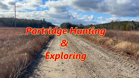Bird Hunting, Stone Train Bridges, New Trails