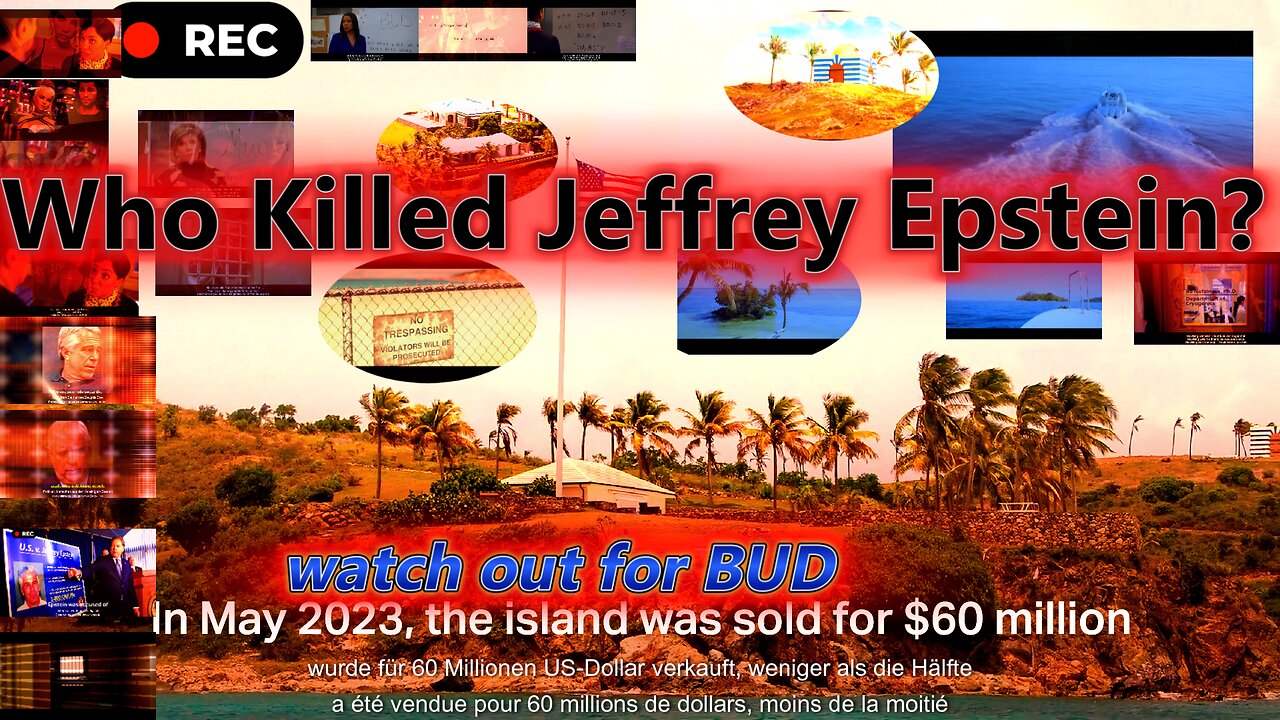 Who Killed . Jeffrey Epstein . mysterious Bud