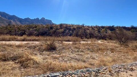 Lyra the Wander Dog - Short wander at Catalina State Park