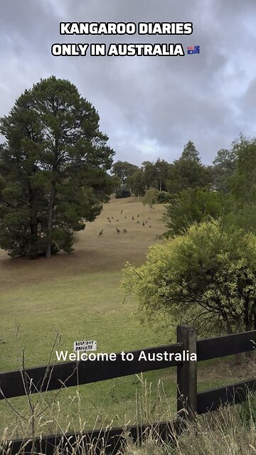 Kangaroo diaries only in Australia 🇦🇺