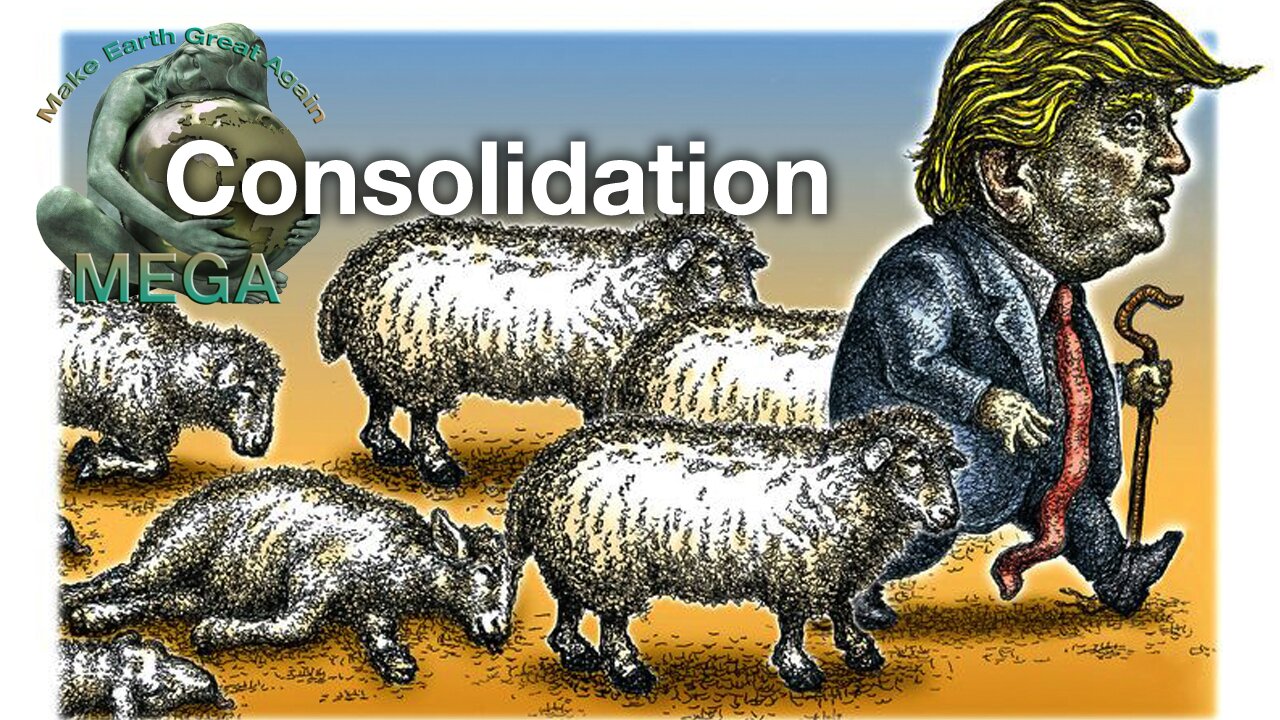 Consolidation | Max Igan