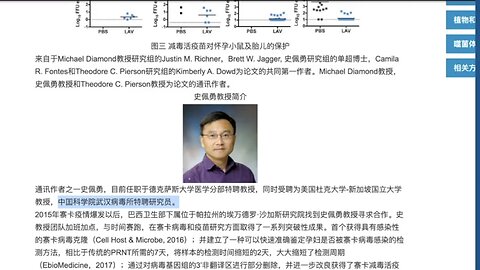 Wuhan Bioweapons Scientist Blows Whistle: Covid Was 'Engineered' to Depopulate