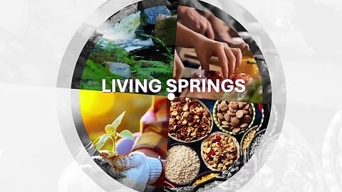 Living Springs - A Plan of Success by Erin Hullender