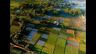 ESCAPE THE BANKS & BUILD YOUR FREEDOM!