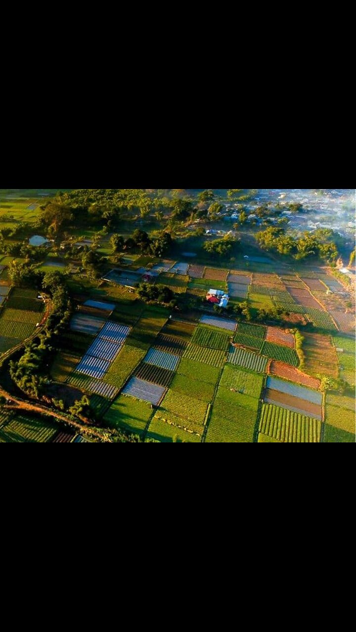 ESCAPE THE BANKS & BUILD YOUR FREEDOM!