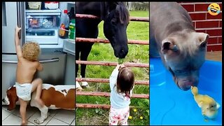 Funny animals videos 😂 Funniest CATS😺 DOGS🐕 Horse🐴 Funny videos