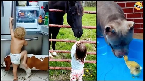 Funny animals videos 😂 Funniest CATS😺 DOGS🐕 Horse🐴 Funny videos