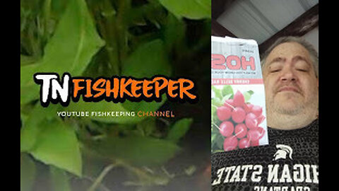 TN FISHKEEPER™ 🐠 CHERRY BELLE RADISH #GARDEN