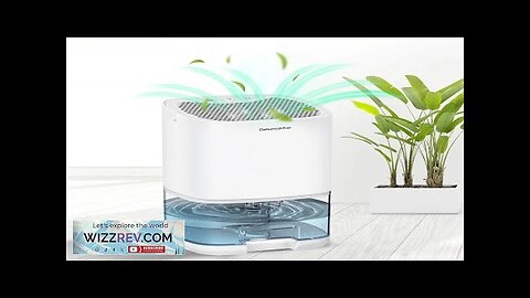 1000ML Air Dehumidifier with Basic Air Filter for Home Room Office Kitchen Review