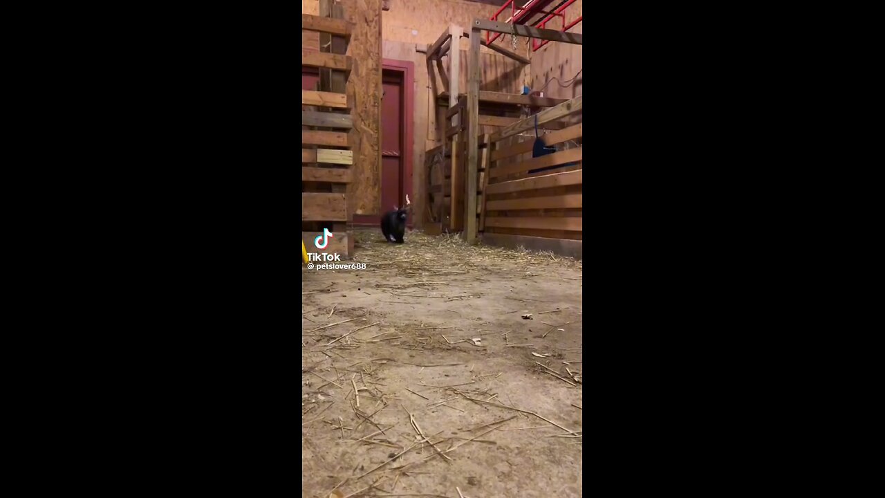 ❤️❤️❤️❤️❤️