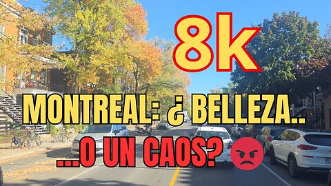 La REALIDAD del Tráfico en Montreal: Recorriendo la Calle Saint-Denis 🍁