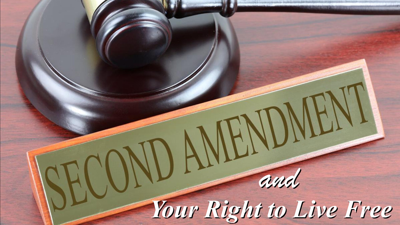 The Second Amendment and Your Right to Live Free - Conclusion