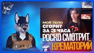 🐺 Роско смотрит Коллектив - Показываю крематорий изнутри 🪦