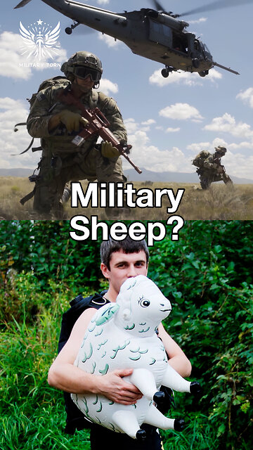 The Worst Military Brother Imaginable?