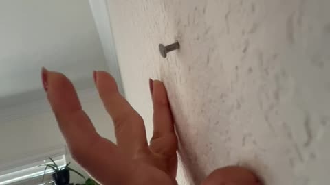 Nail Bouncing Out of Wall