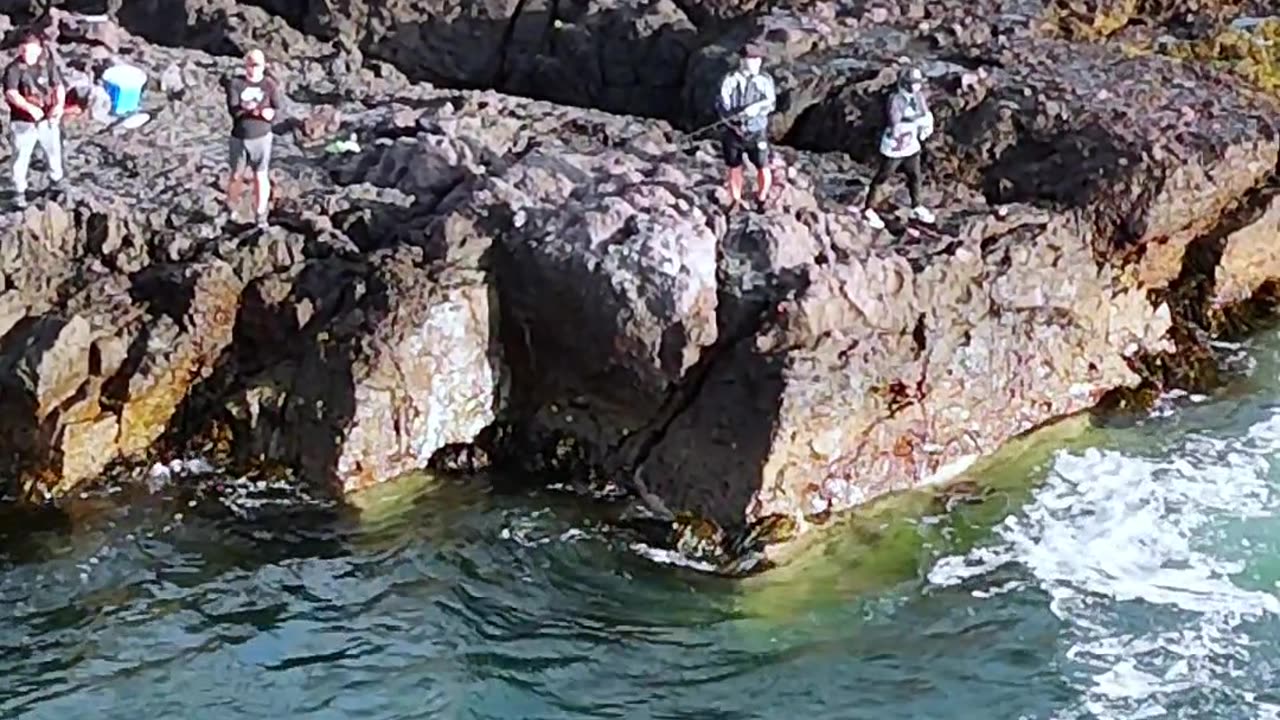 ¿Qué te parece este lugar?