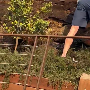 James Woods house was okay...