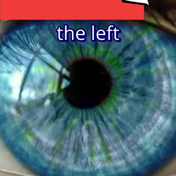 UP up DOWN down #punk