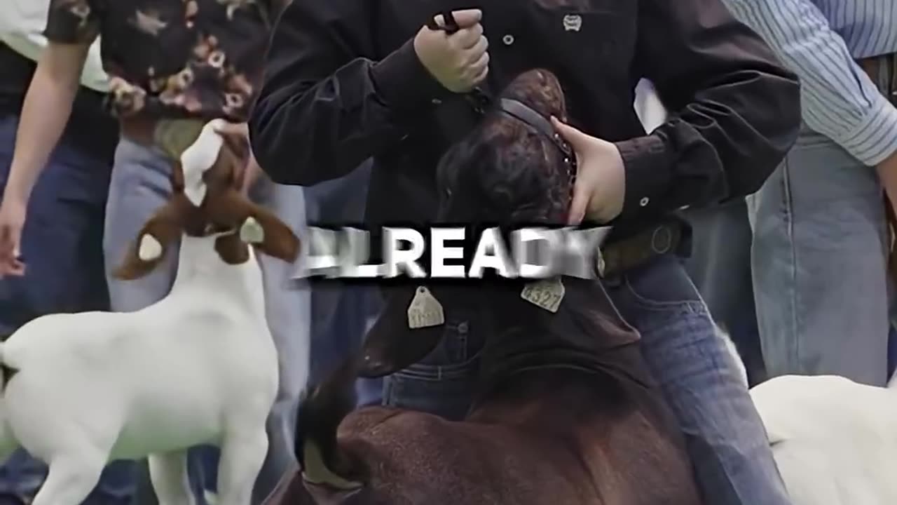 Lessons From Failure That Inspire