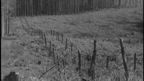 1956 Crusade for Freedom - 1956 Crusade for Freedom - gov.archives.arc.648946