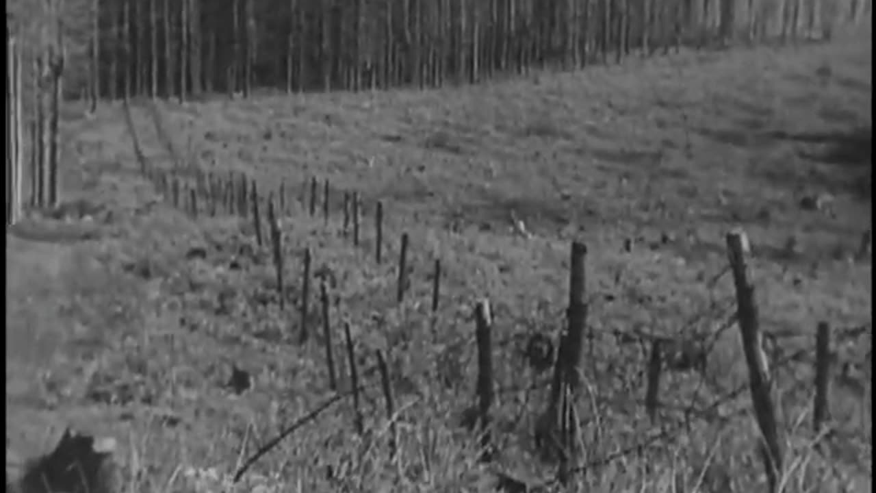 1956 Crusade for Freedom - 1956 Crusade for Freedom - gov.archives.arc.648946