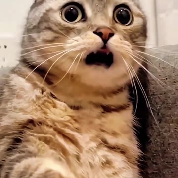 Awesome World 😂😂😂