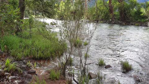 Camping-Upper King Valley Vic