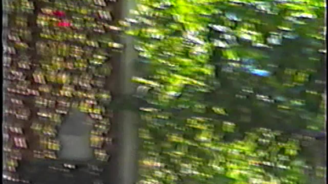 1991-NJ-Molly