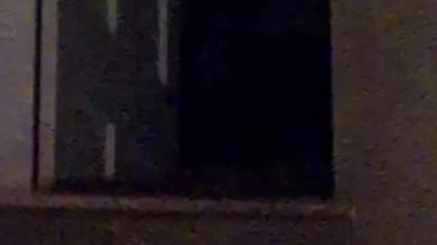 😱👻 What The Hell Is This?! | TheHauntingHour