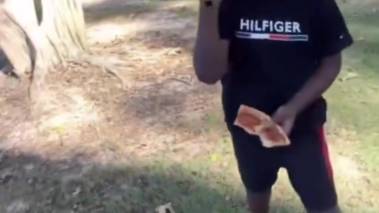 The problem is... They grow up!