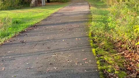 [WHAT IF WE STARTED ASKING OURSELVES THESE QUESTIONS?]