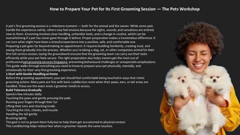 How to Prepare Your Pet for Its First Grooming Session — The Pets Workshop