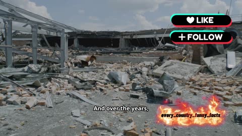 The Truth They Don’t Tell You: What’s Really Happening in Israel and Palestine