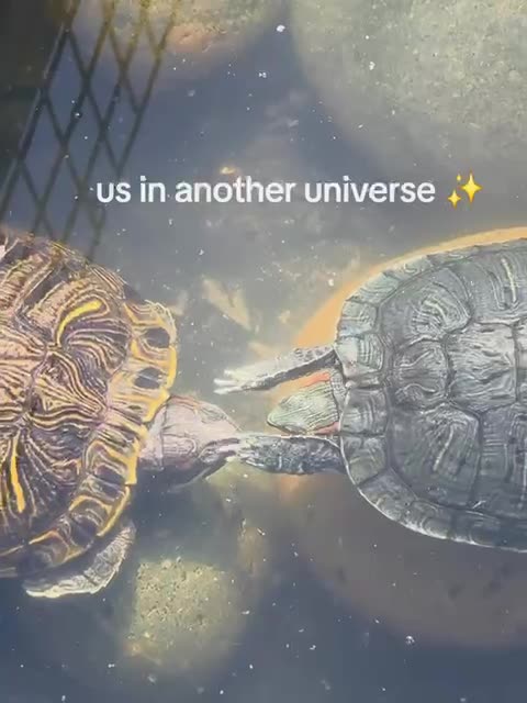 She’s putting a spell on the guy she likes