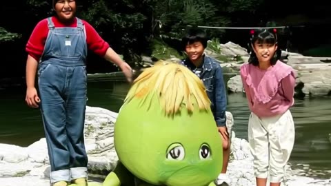 3-pettonton-1 (1).mp4